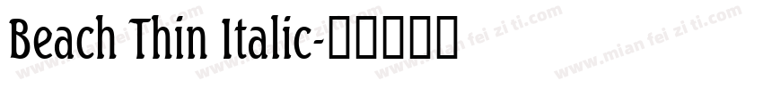 Beach Thin Italic字体转换